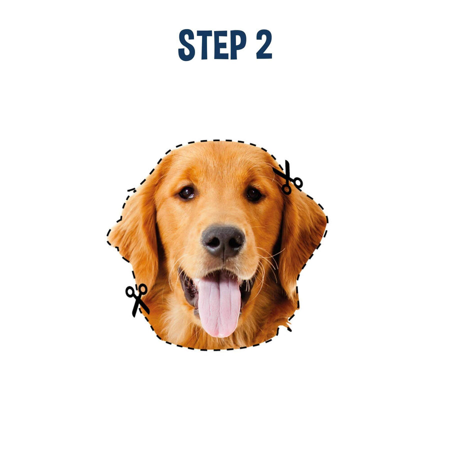 The dog’s head cut out along a dotted line