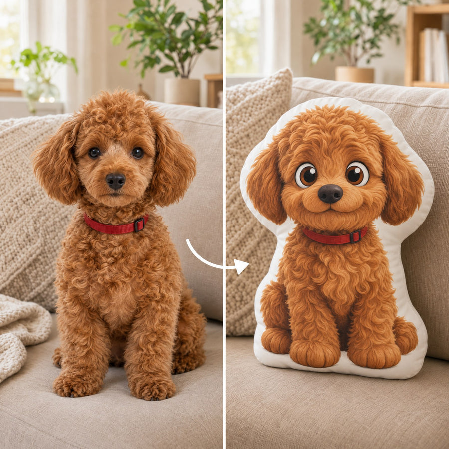 Poodle