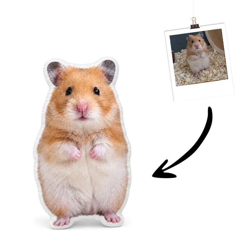 Real Photo Hamster Cushion