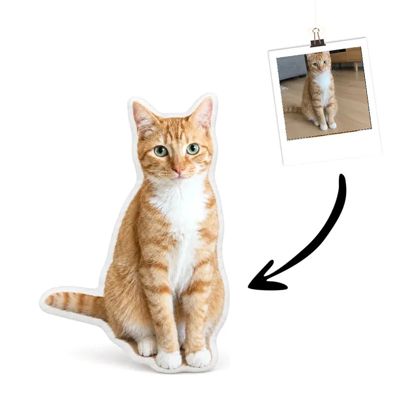 Real Photo Cat Cushion
